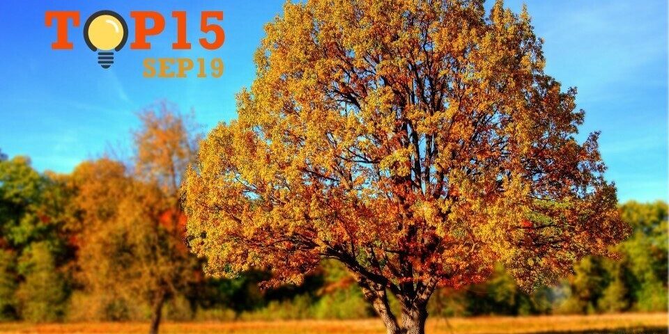 top15sep19
